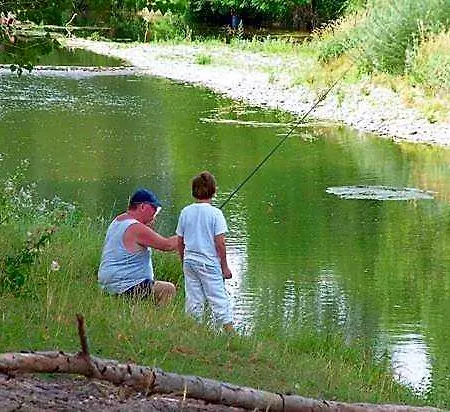Le Hameau Des Genets Montlaur (Haute-Garonne)